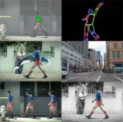 Rotoscoping tutorial videos and articles